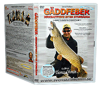 gddfeber dvd